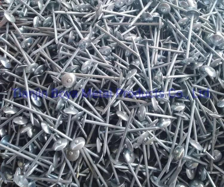 Good Quality Galvanized Umbrealla Head Roofing Nails
