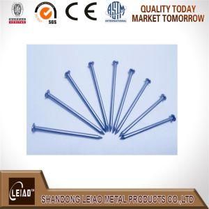 Iron Wire Nails for Africa Market