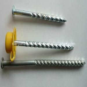 Floor Nail/Ibr Nail/Asbestor Nail/Twisted Nail