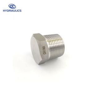 Male Pipe Fittings Straight Stainless Steel Hydraulic Plug Adapters