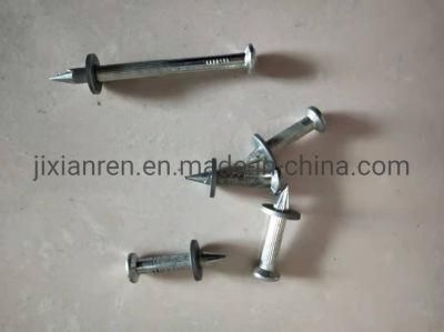 25mm Galvanized Concrete Nails with Steel Washer