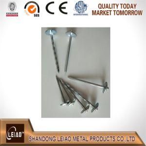 Zinc Galvanized Roofing Nail