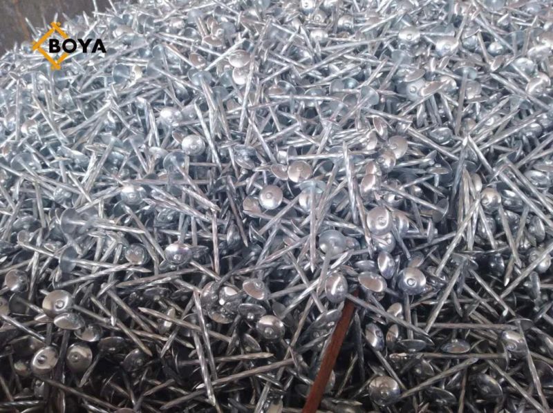 Hot Sale 8 Box Per CTN 20-25kg Per CTN 50kg Per Gunny Bag Twisted Smooth Shank Galvanized Umbrella Head Roofing Nail with Roof Construction for Africa Market