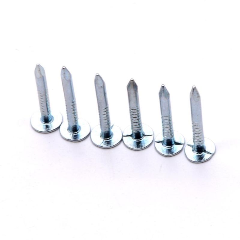 China Direct Factory Sale Large Head Roofing Nails Flat Clout Nails,