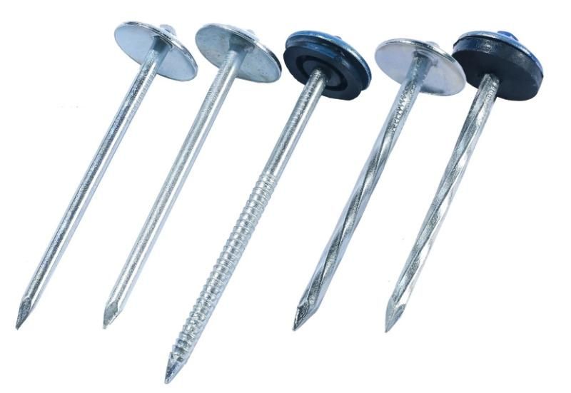 Umbrella Head Nail/Roofing Nail/Umbrella Nail/Clout Nail/Galvanized Roofing Nail/Building Nail/Construction Nail/Hardware/Nails
