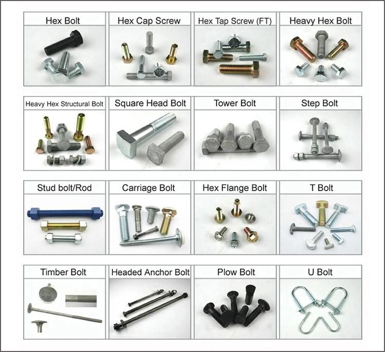 Hex Flange Nut A2-70 Collar Nuts Hexagon Nuts