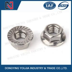 DIN6923 Stainless Steel Hexagon Nut with Flange