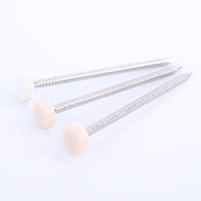 Decorative Nail Stainless Steel 2.0X30mm 2.0X40mm Furniture Nail