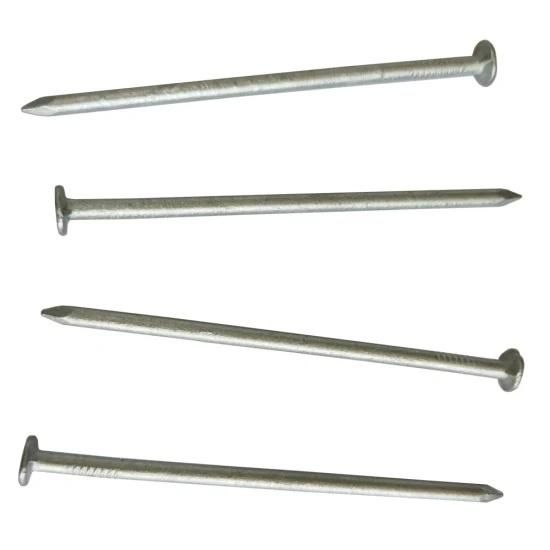 Direct Manufacturer in Dingzhou Grooved Galvanized Concrete Nail Galvanised Steel Nails /Congo Market Concrete Nail / Cameroon Market Concrete Nail