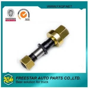 Fxd Good Fit Performance Competitive Price Supplier Auto Bolt for Truck