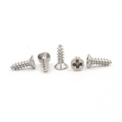 Factory Direct Sale Screws Stainless Steel Screws Phillips Self-Tapping Screw