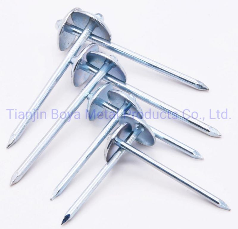 Q195 Steel Galvanized Roofing Nails for Colored Steel Sheet Roof