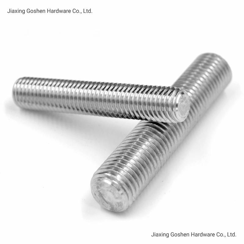 M20*100mm Stainless Steel 304 Threaded Rod