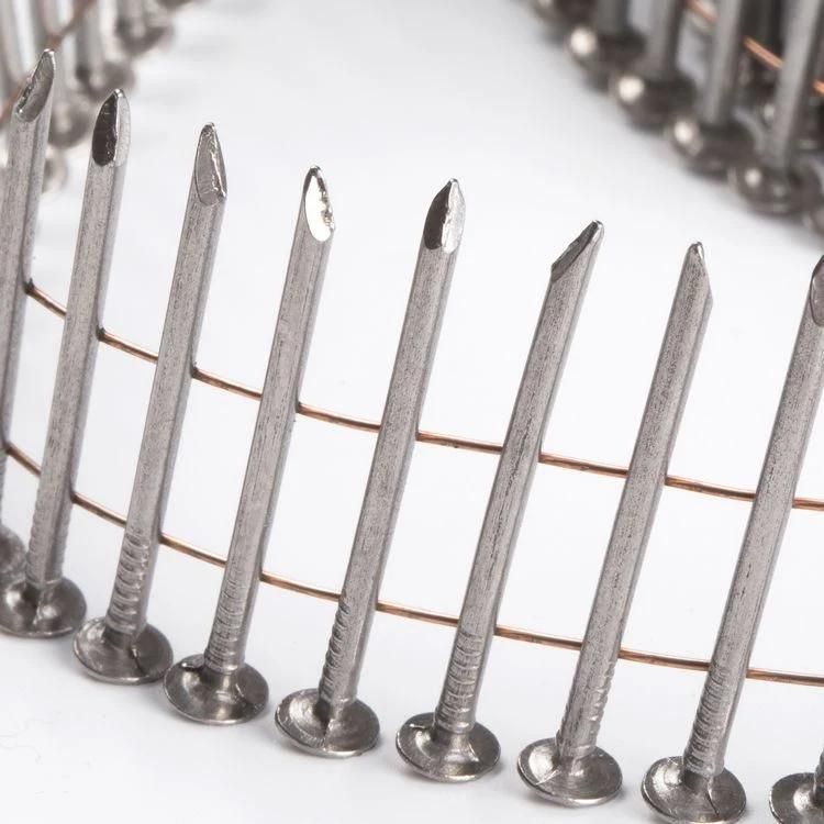 Iron Wire Smooth Shank Coil Nails for Pneumatic Tool