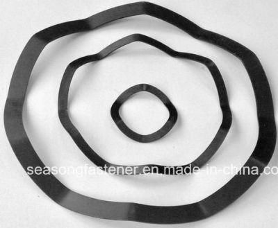 by Bearing Washer / Wave Spring Washer