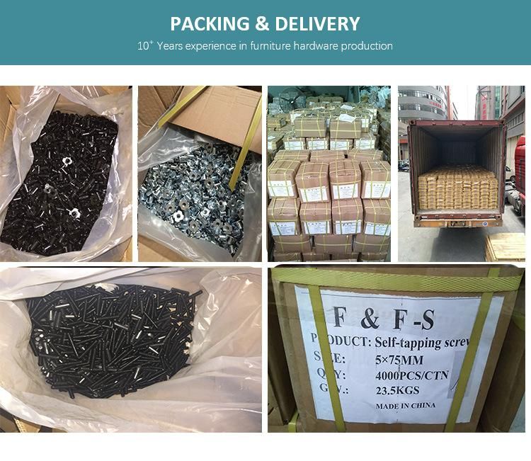 High Quality Metal Steel Fasten Screws Furniture Accessories