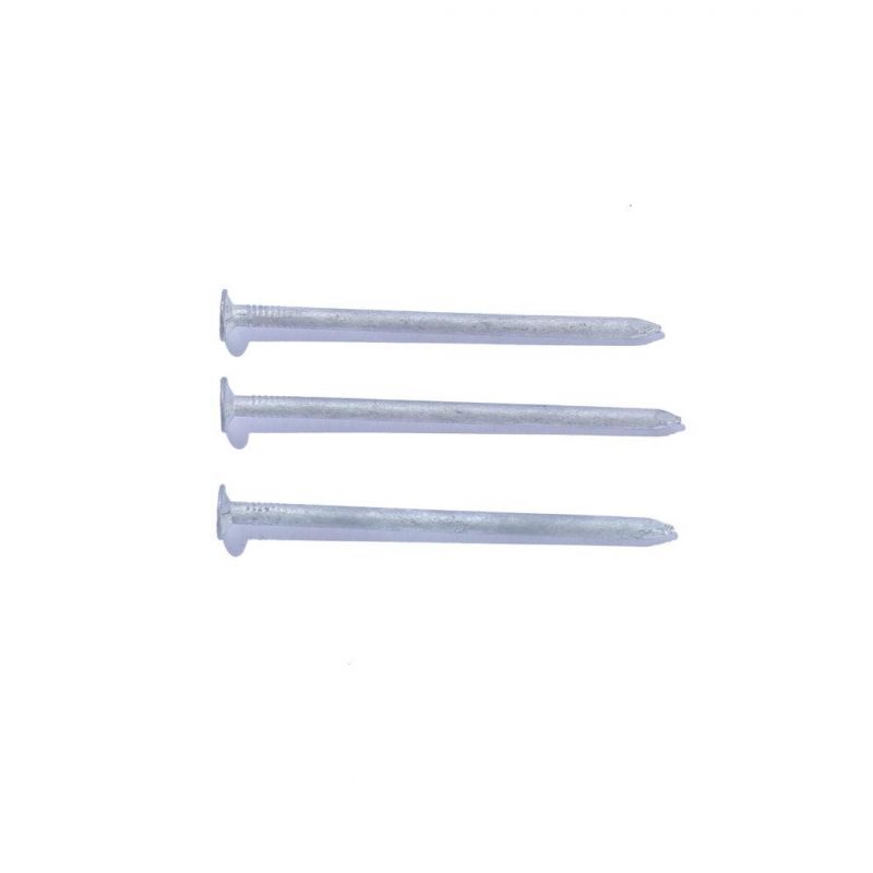 Kenya Angola Ethiopia Market/Cheap Price Iron Galvanized Common Wire Nail Construction Nails for Wood