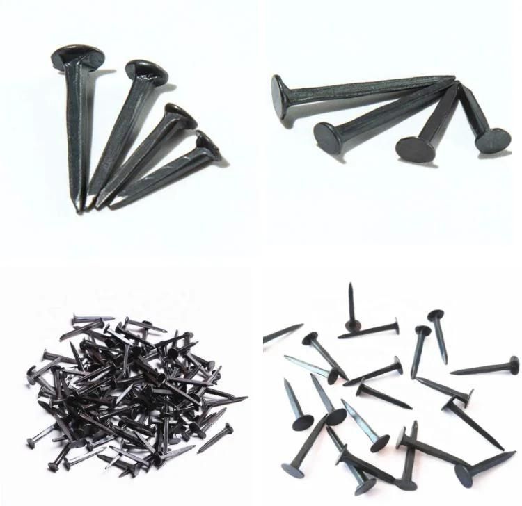 Hot Sale Popular 5/8" 3/4" 1/2" 1" Shoe Tack Nails with Good Quality