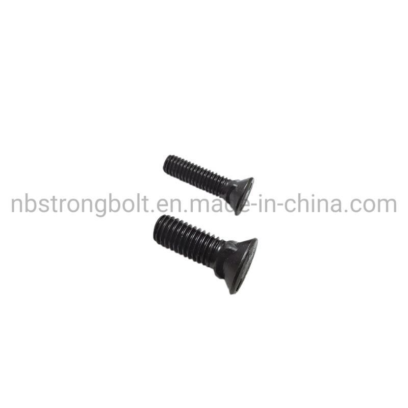 Flat Countersunk Square Neck Bolt Gr. 5