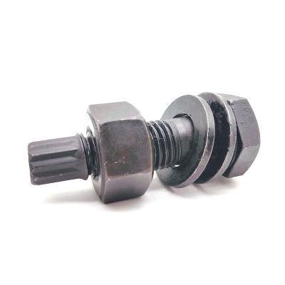 Steel Structure Torshear Type High Tensile Bolt with Hex Nut and Plain Washer
