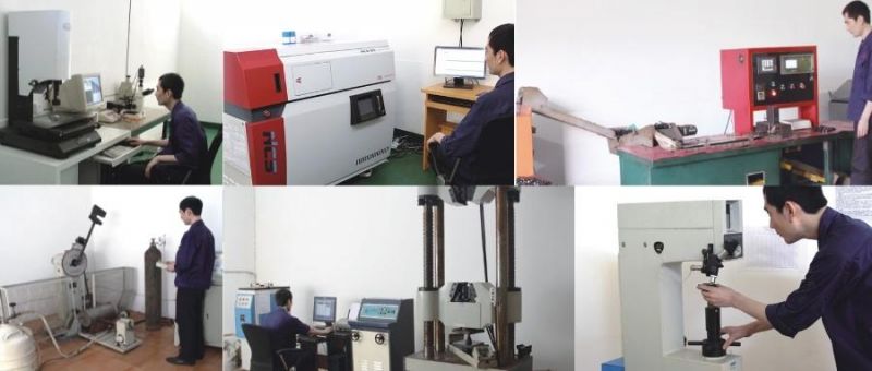 High Strength Fastener Nut Wholesale Customized 2h DIN934 Nut with Factory Price