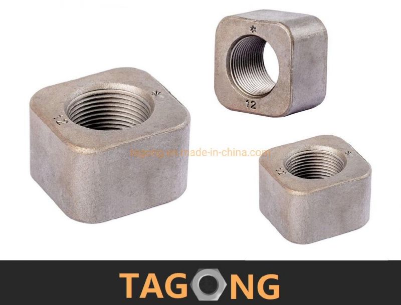 OEM Plain Carbon Special Square Nuts