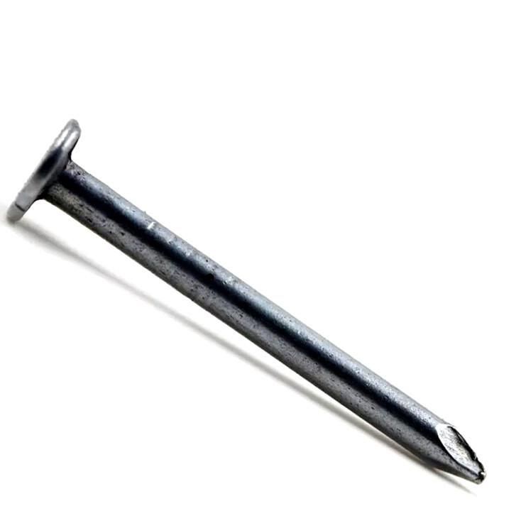 High Quality Gi Clout Nail Roofing Nail of Guangzhou Supplier