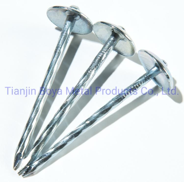 Factory Price Galvanized Umbrella Head Roofing Nail/Umbrella Nail/Clout Nail/Big Head Nail/Iron Nail/Building Nail