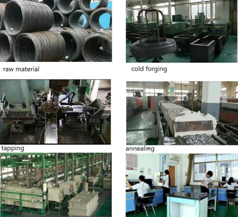 Large Head, Flat Head Rivet Nuts, Reduce Head. Thin Head Rivet Nuts, Small Csk Head, Csk Head Rivet Nut Knurled Body, Full Hex Body. Blind Rivet Nuts.