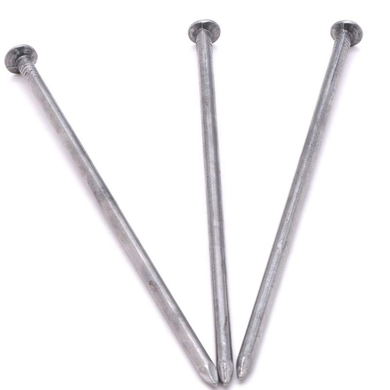 Polished Common Round Nail Iron Wire Nails Common Round Nail