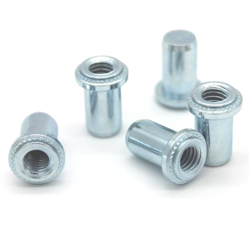 Stainless Steel 304 BS-M3-1 BS-M3-2 Blind Nuts Self Clinching Nuts
