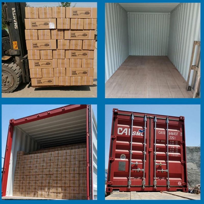 15 Degree Wire Collated Coil Nails for Pneumatic Tools