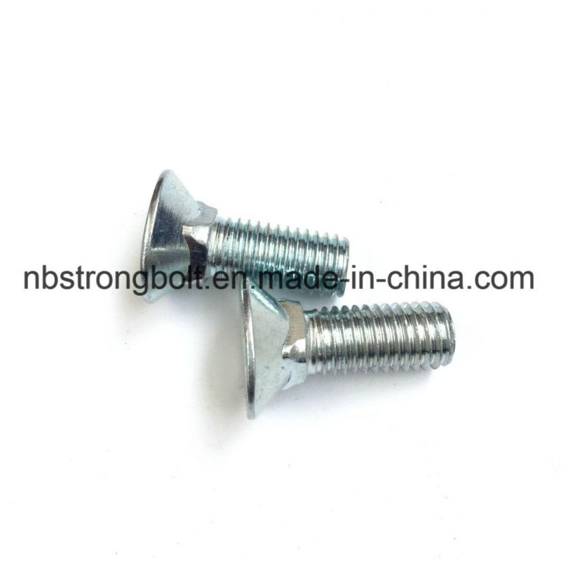 Flat Head Square Neck Screw with White Zinc Plated/Customized Flat Head Screw
