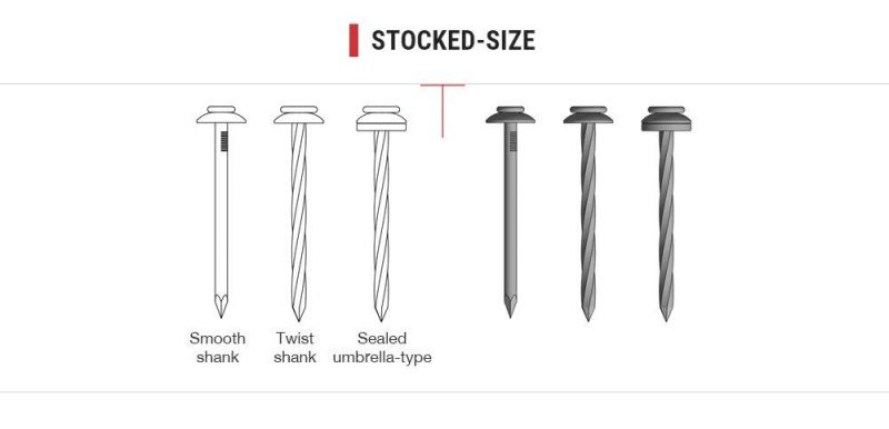 Galvanized Wire Nails for Concrete/Umbrella Roofing Nails