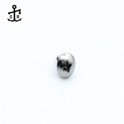 M4 Ss Phillips Cross Recessed Pan Head Tapping Screw Made in China