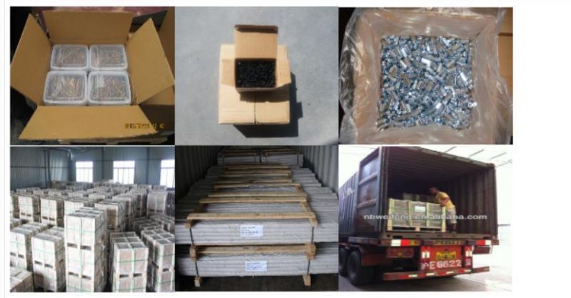 Weifeng Carbon Steel Small Box /Bulk/Bag M4.2 Phillips Screw Concrete
