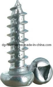 Head Self Drilling Screw (CH-SCREW-050)