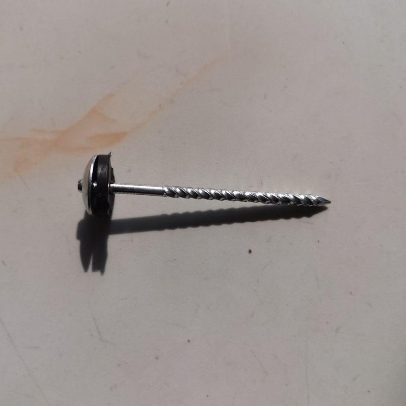 Guinea Congo Ethiopia Market/Best Price Twisted Nail/Common Nail