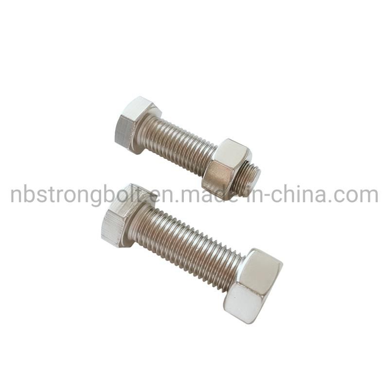 Stainless Steel SS316 Hex Bolt Nut