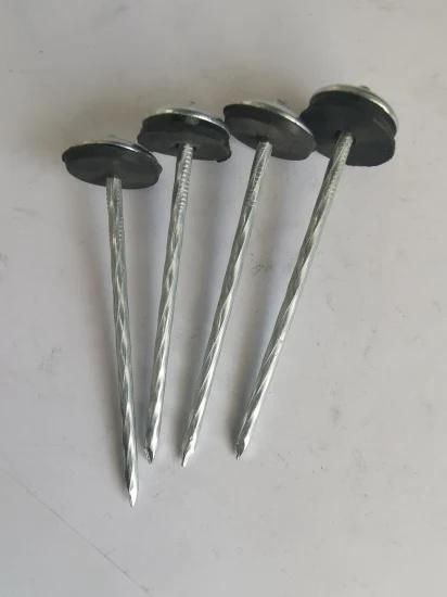 Angola Zambia Namibia Market/Roofing Screw Gypsum Cheaper Steel Nails Screw Spiral Concrete Nails