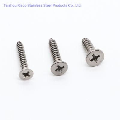 DIN7504/7981/7997/912 Chinese Manufacturer SS304/316 High Quality Fastener Csk Head Self Tapping Screws