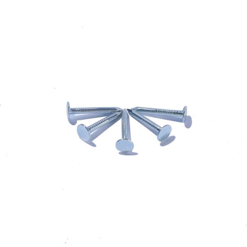 Hot Sale Felt Clout Nails Clout Tex Nails Flat Head Clout Nails
