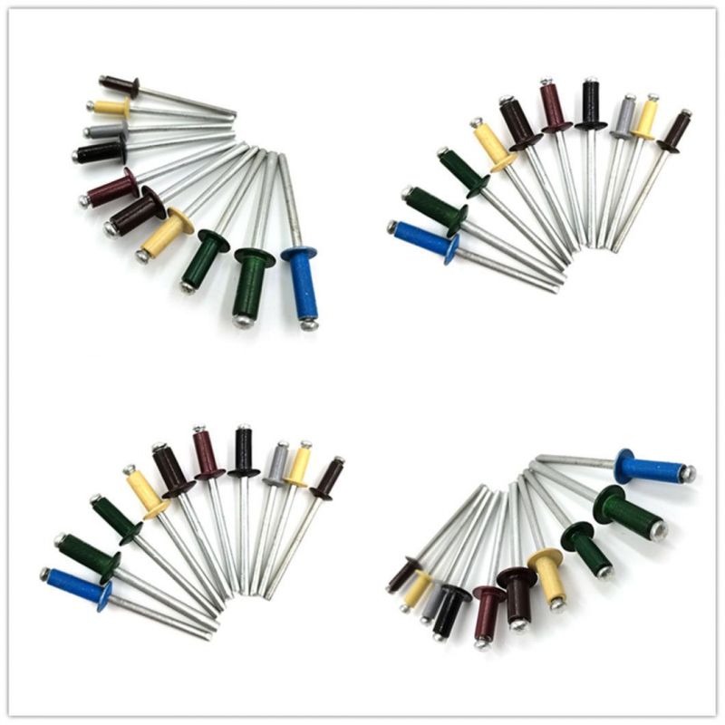 Blind Rivet Manufacturer Color Paint Plain Open End Type Dome Head Aluminium Steel Big Large Flange Blind Pop Rivet with Groove