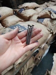 Common Nail/ Iron Nail Factory 50kgs Per Wovenbag