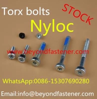 Nyloc Screw Bolts Machine Screw/Fastener Sealing Screw