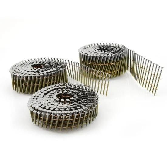 Coil Nail for Construction & Decoration