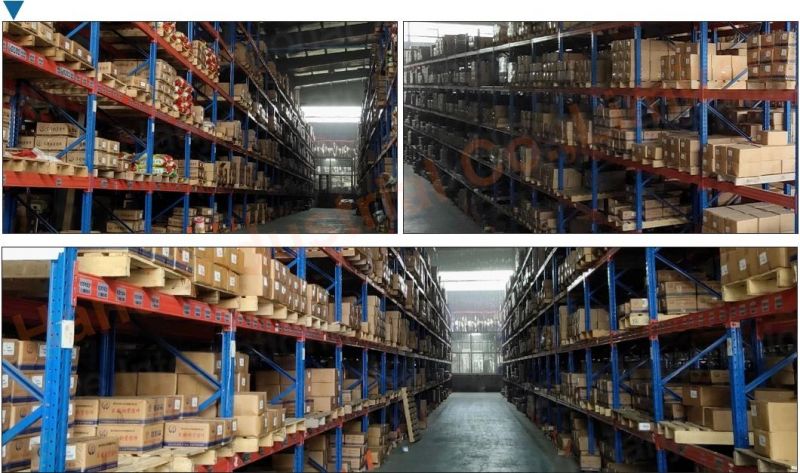 M6 M8 M10 M12 A2 A4 Galvanized Nickel Coatedl J I Type Hexagon Nut Spring Washer Ellipse Hole Scale Hammer Concrete Anchor