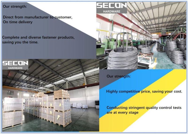 Made in China Good Quality Eg. Q195 DIN571 Wood Screws