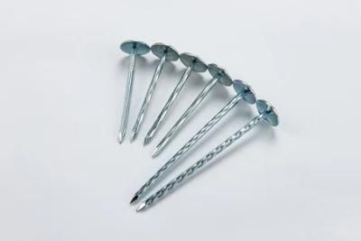 Smooth Shank Galvanized Umbrella Roofing Nail Be Used for Bicycle Parts, Wooden Furniture