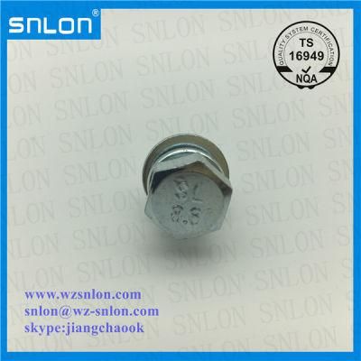 Wzp Hex Head Screw Assembled Spring Washer and Flat Washer Combination Sems Screws